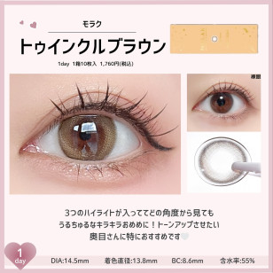 MOLAK 1day Twinkle Brown モラク ワンデー トゥインクルブラウン